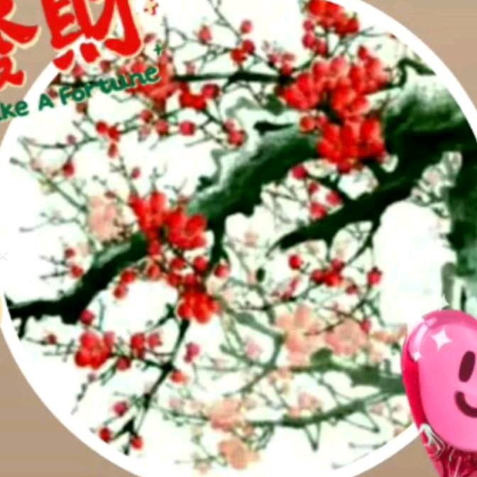 秦岭(西北狼)