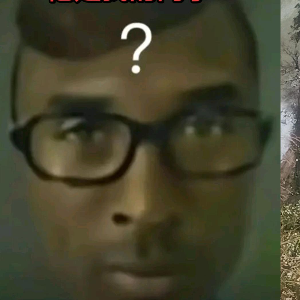 一只有梦想的蚂蚁