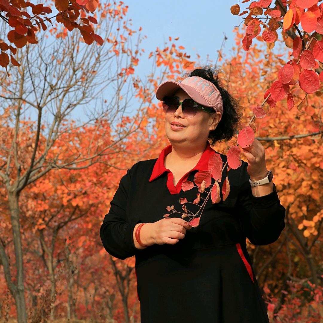 🍎苹果🍎