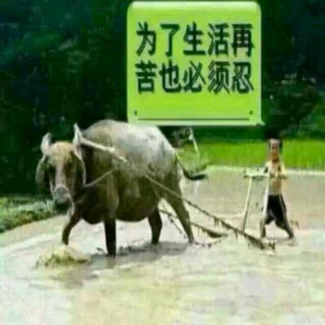 地不平