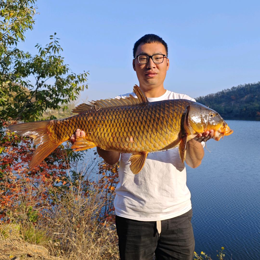 小灿爱钓鱼🎣
