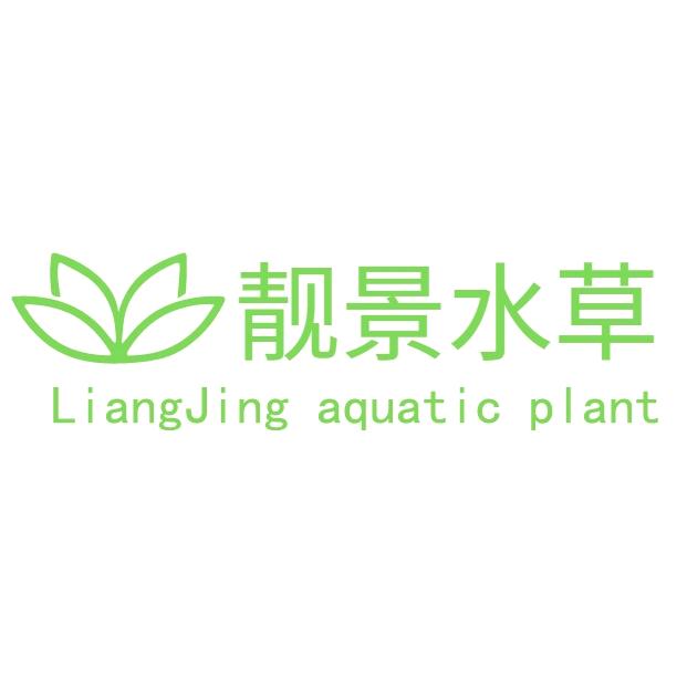 靓景水草