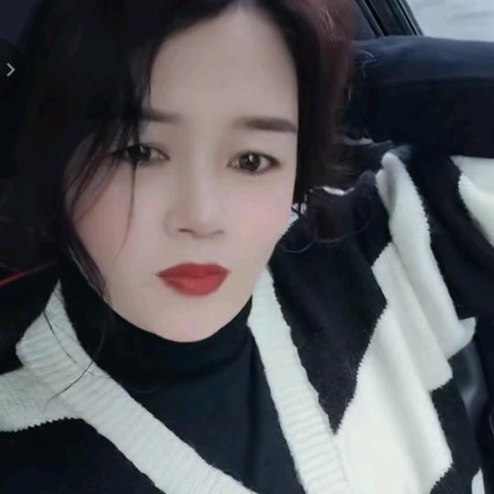南方的燕子