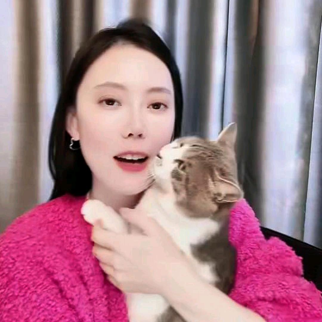 花猫（甜狗故事会）