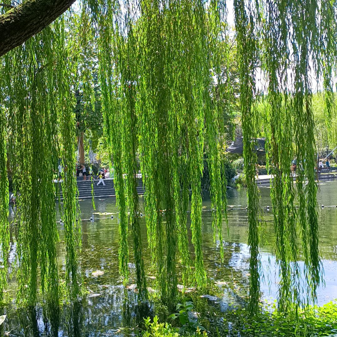 知足常乐
