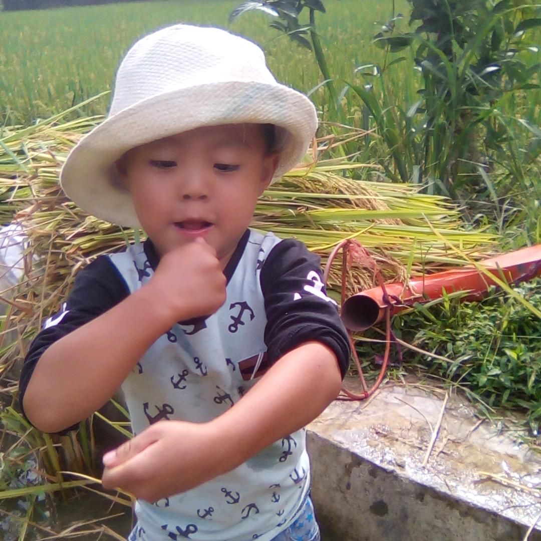 ༂清風༒挽心༃