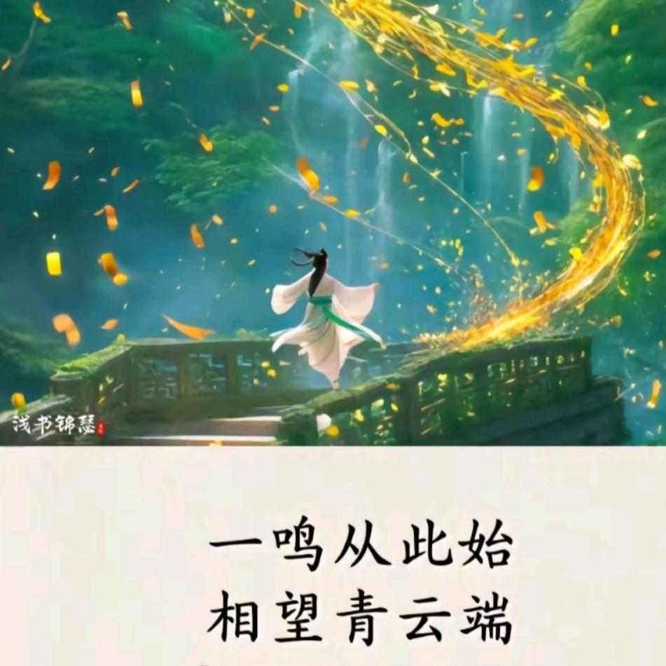 给高中生报考10年