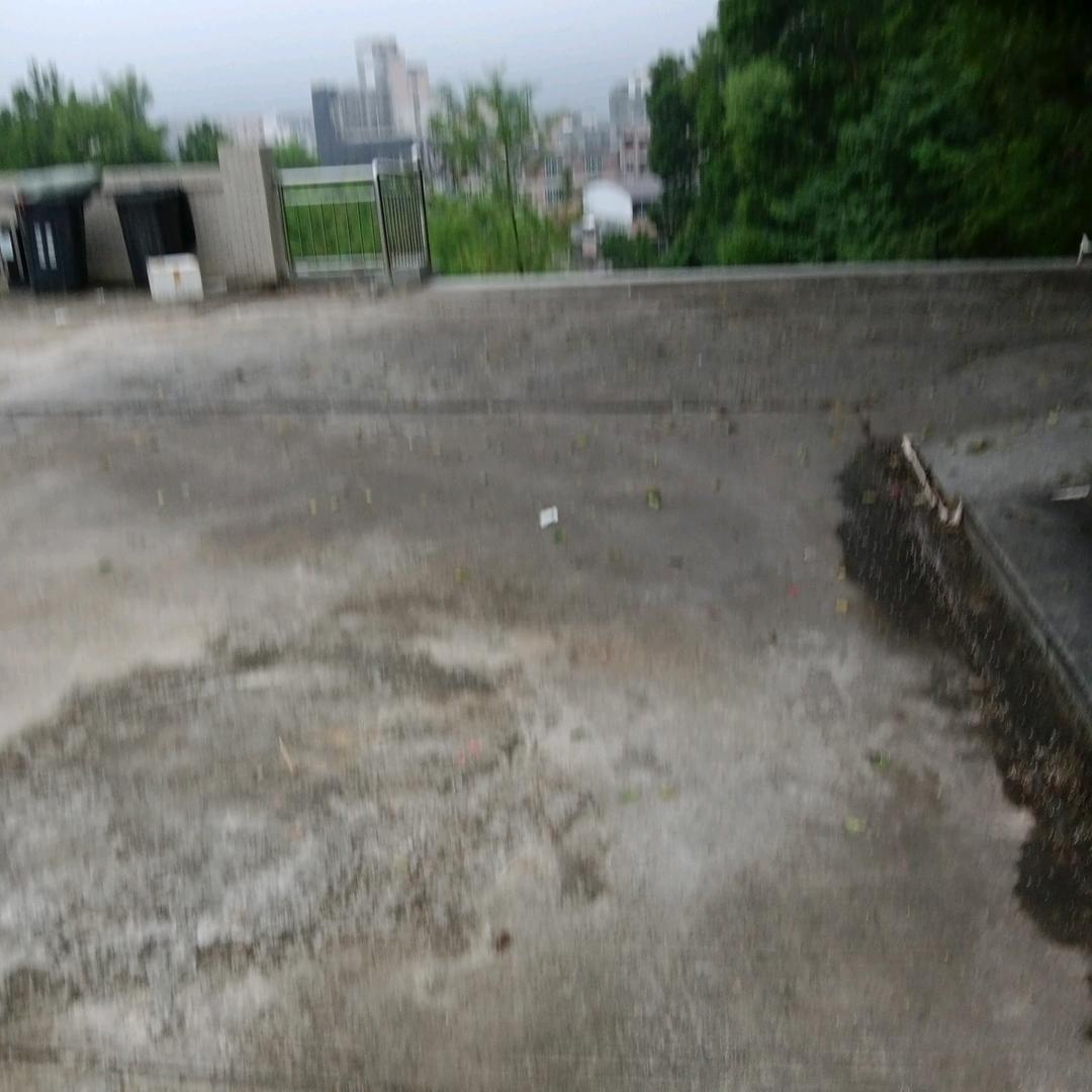 风景日常