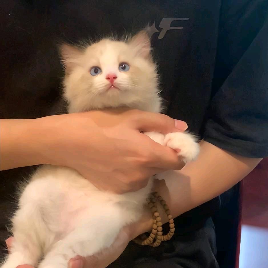 小吴爱妃
