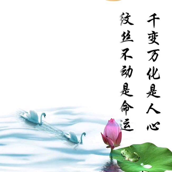 美丽春花