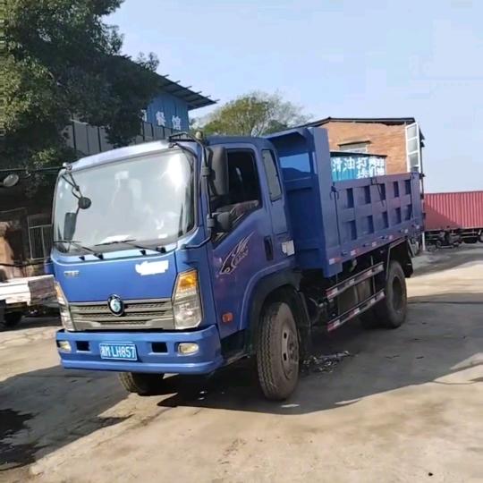 东安福田车队，户外清理马蜂