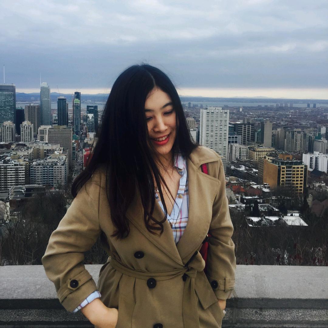 会说三种语言的猫猫