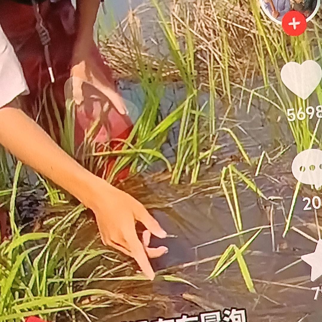 平安开心快乐一身🌹👌🏻