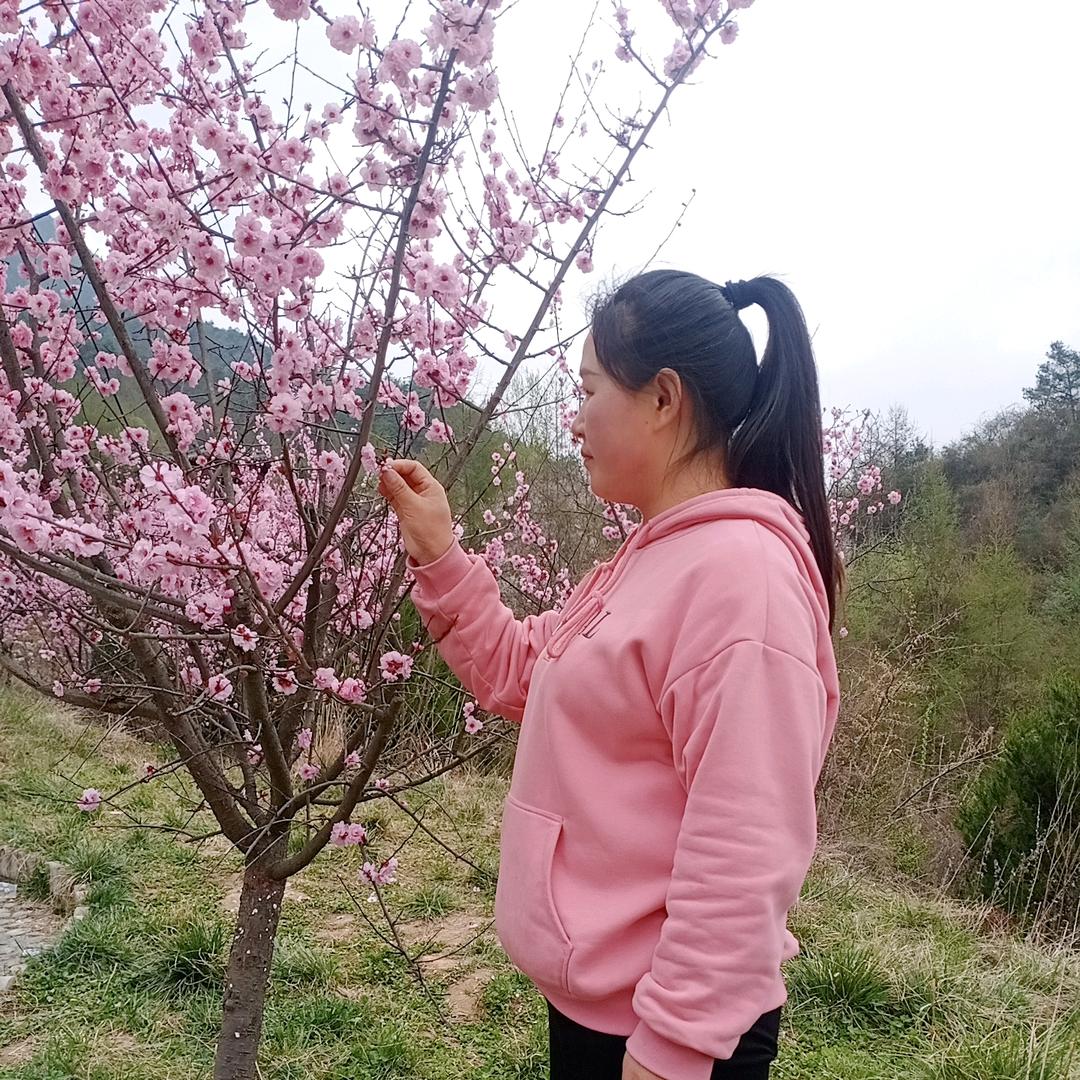 👫芹👫