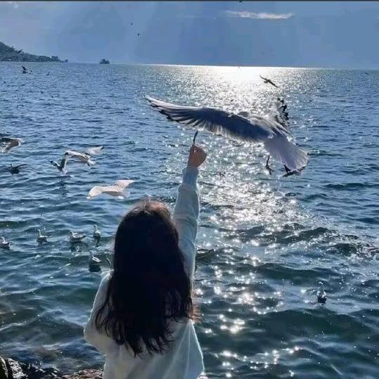 ⁷꯭.秒໊記⃨憶᭄এ