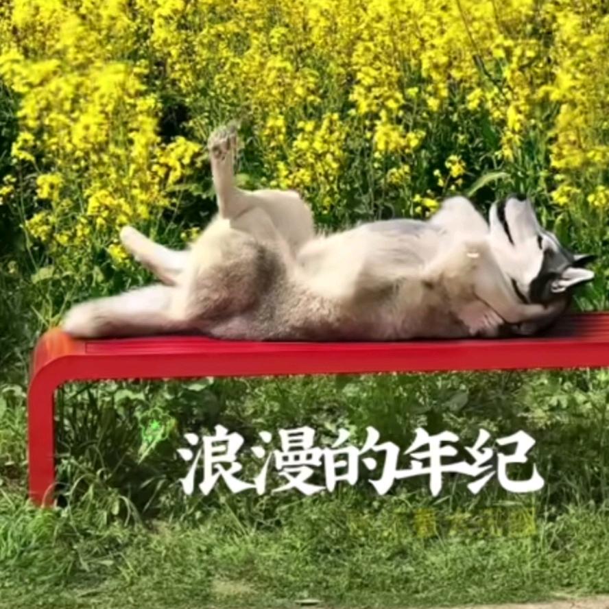 永远的永远