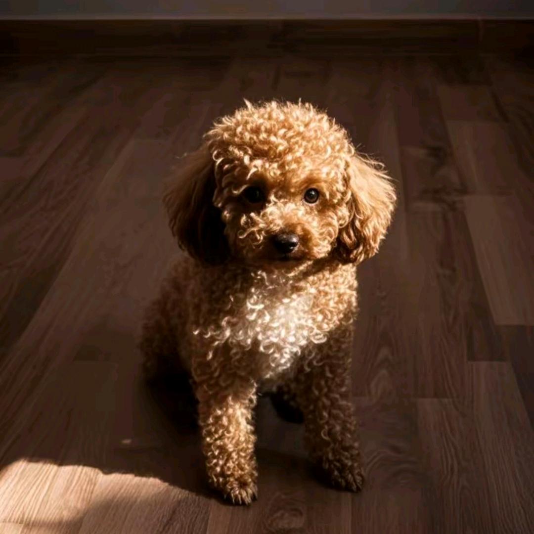 筱琳   ☞ ♥☜