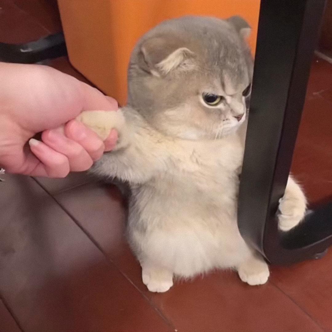 倒影年华£