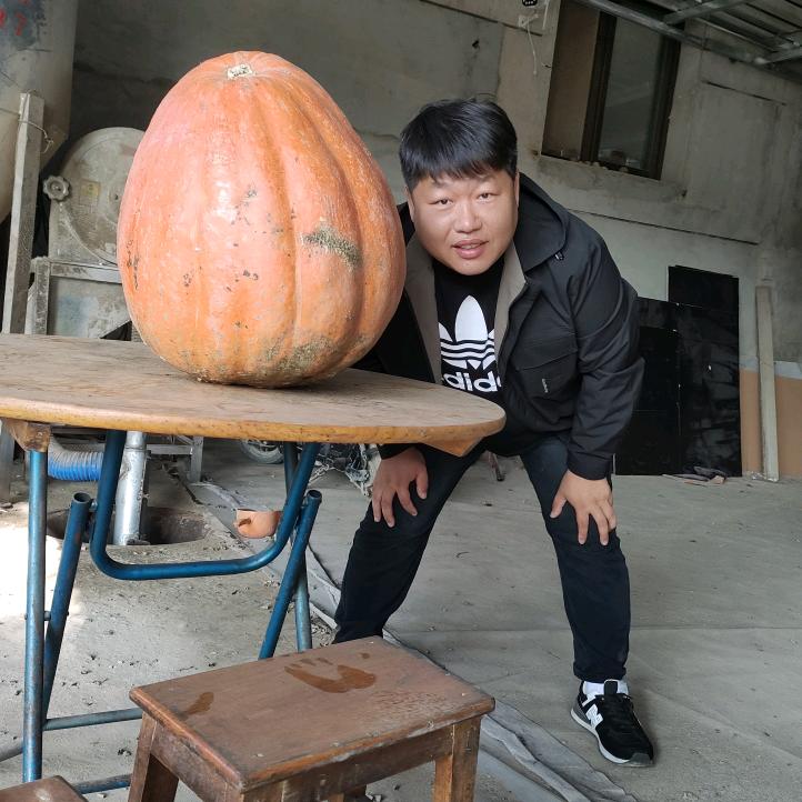 企业.个人，金融顾问（许经理）