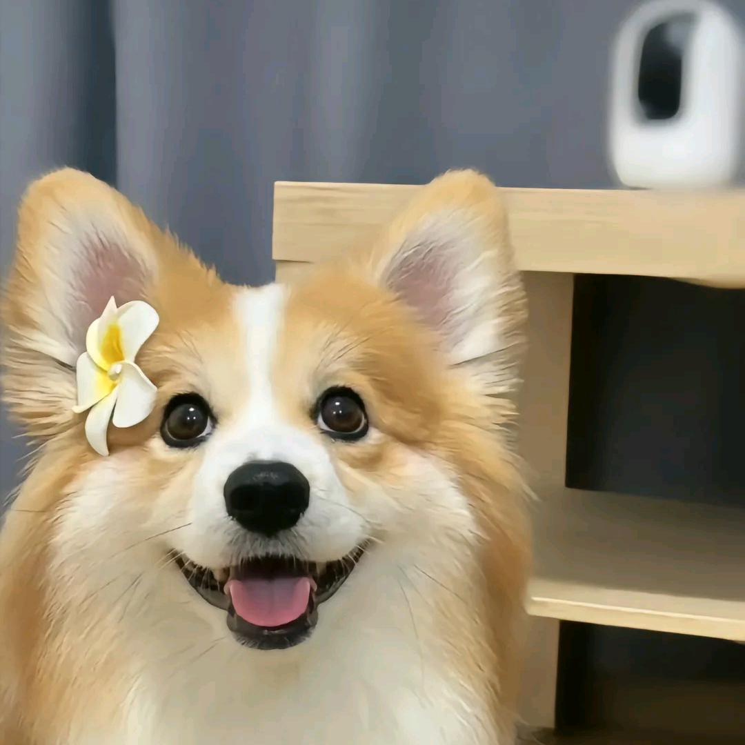 。，
