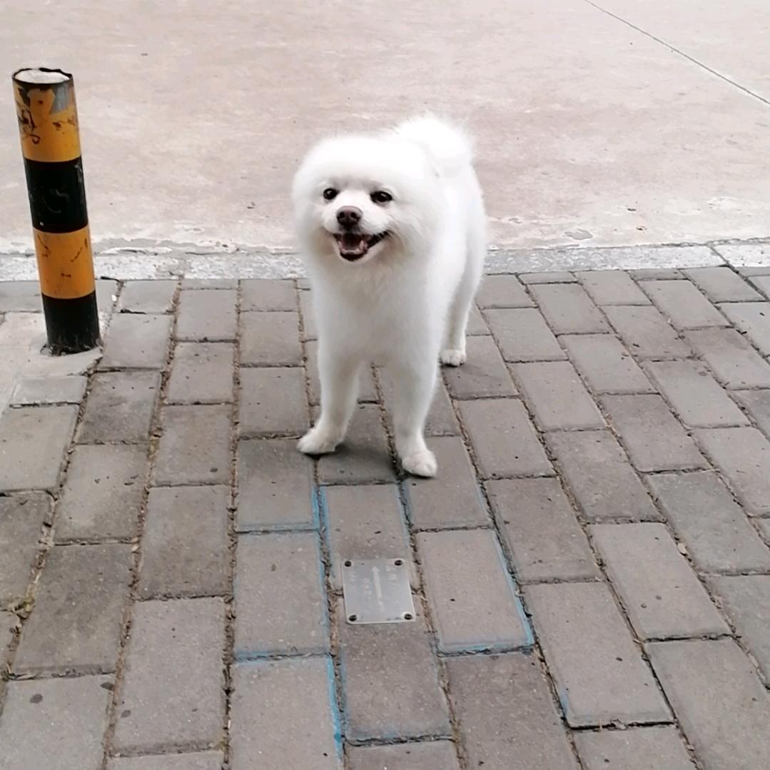 钓客