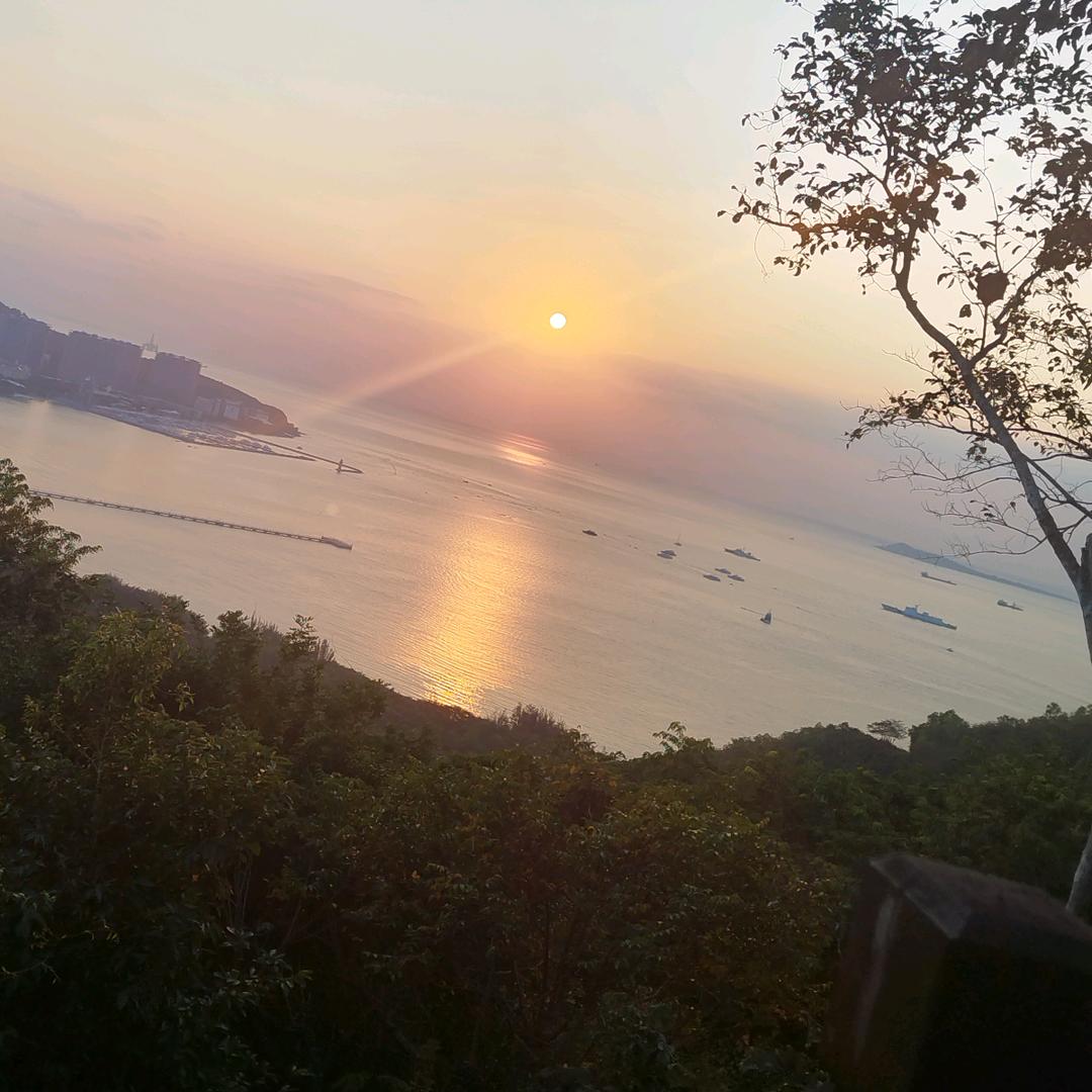 顺着自然