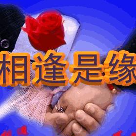 今生无悔