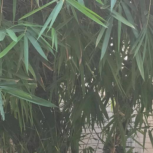 奋斗吧七零后头像