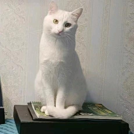 🐷我的🌷小宝贝🐷