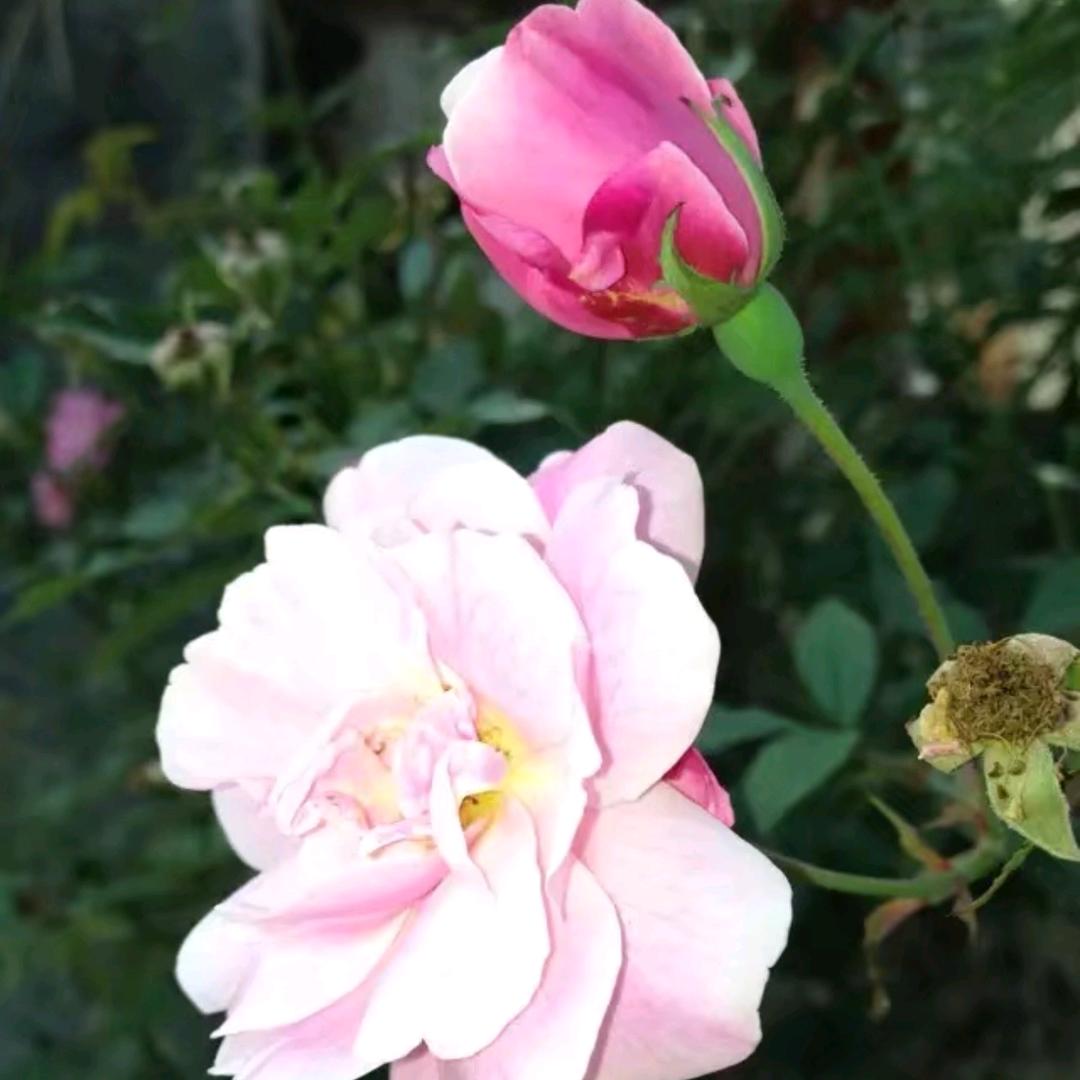 惠干，装饰工程