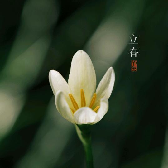追光拾荒者
