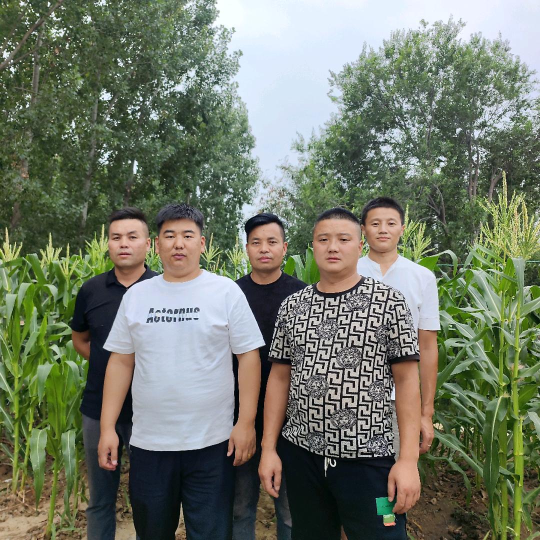 来了小刘