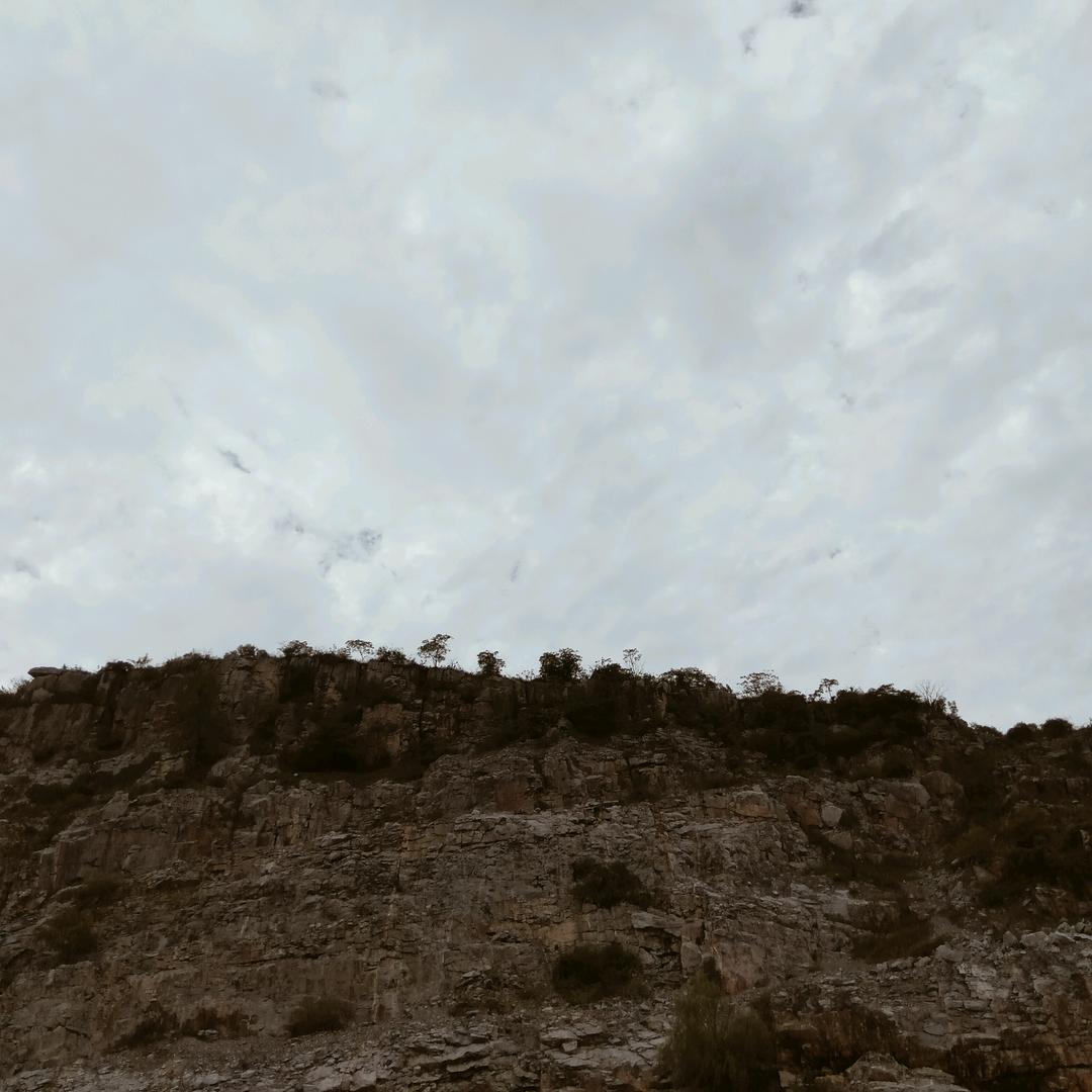 1165190437