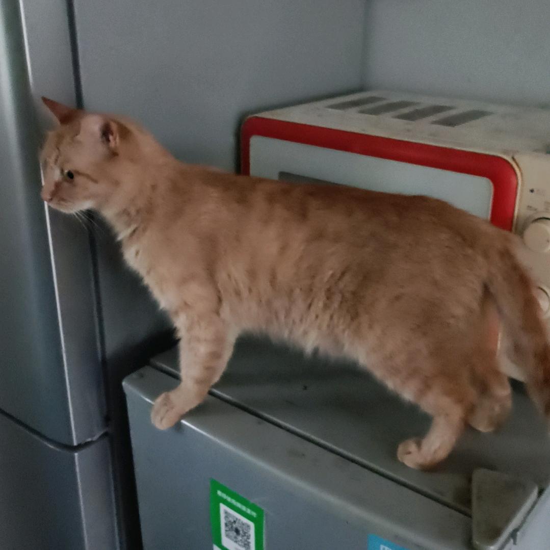 萧瑟