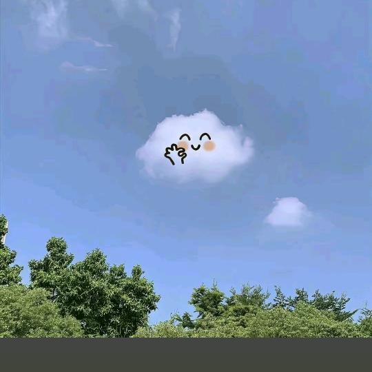 🤙🤙🤙