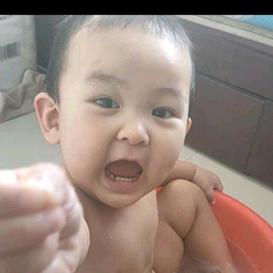 🌊哩个🌊