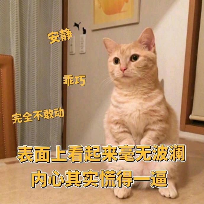 闲暇时光