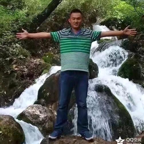 一只勇攀高峰的毛毛虫