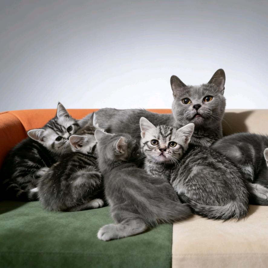 ИΡC代做劲舞团高清号图