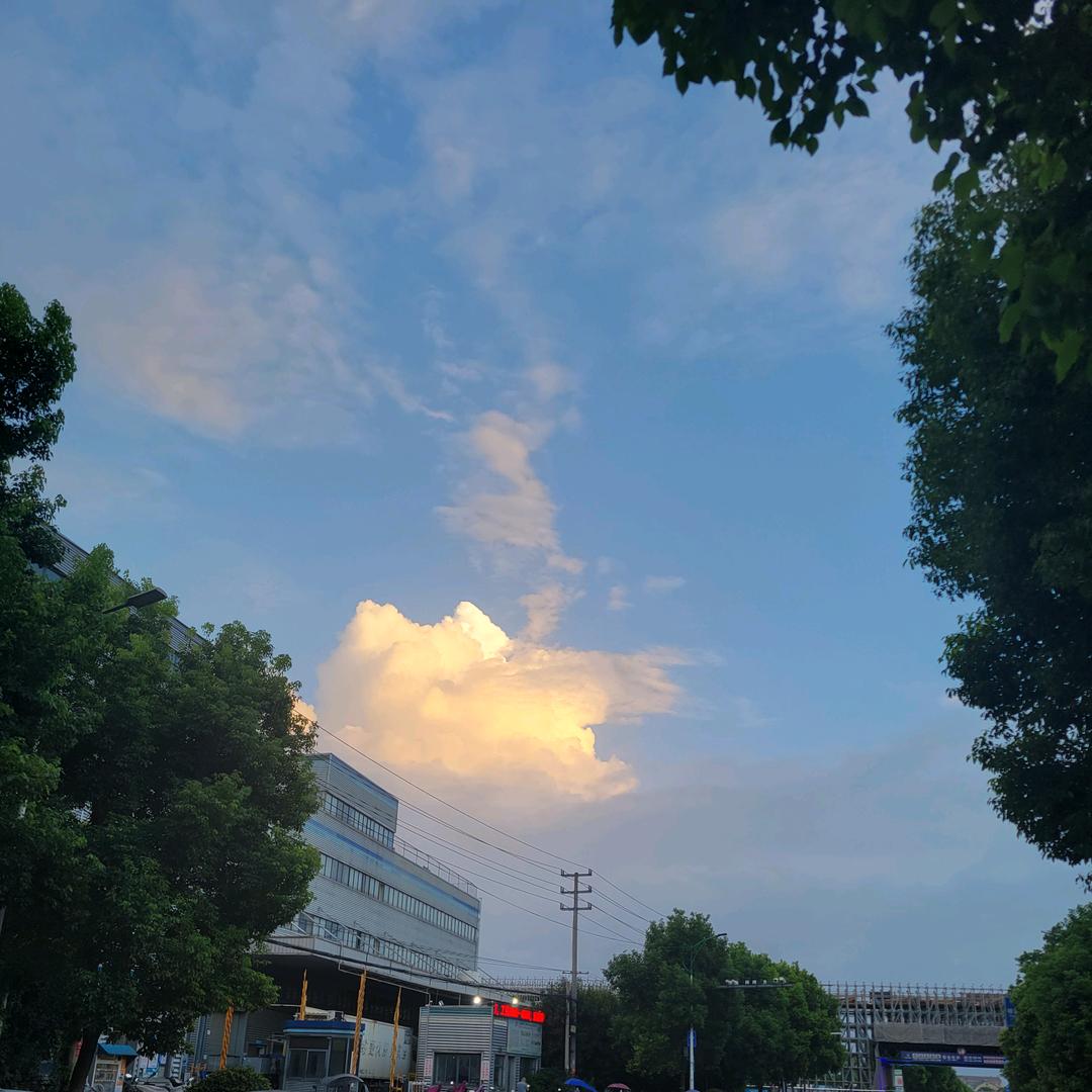 宁波电子厂（）