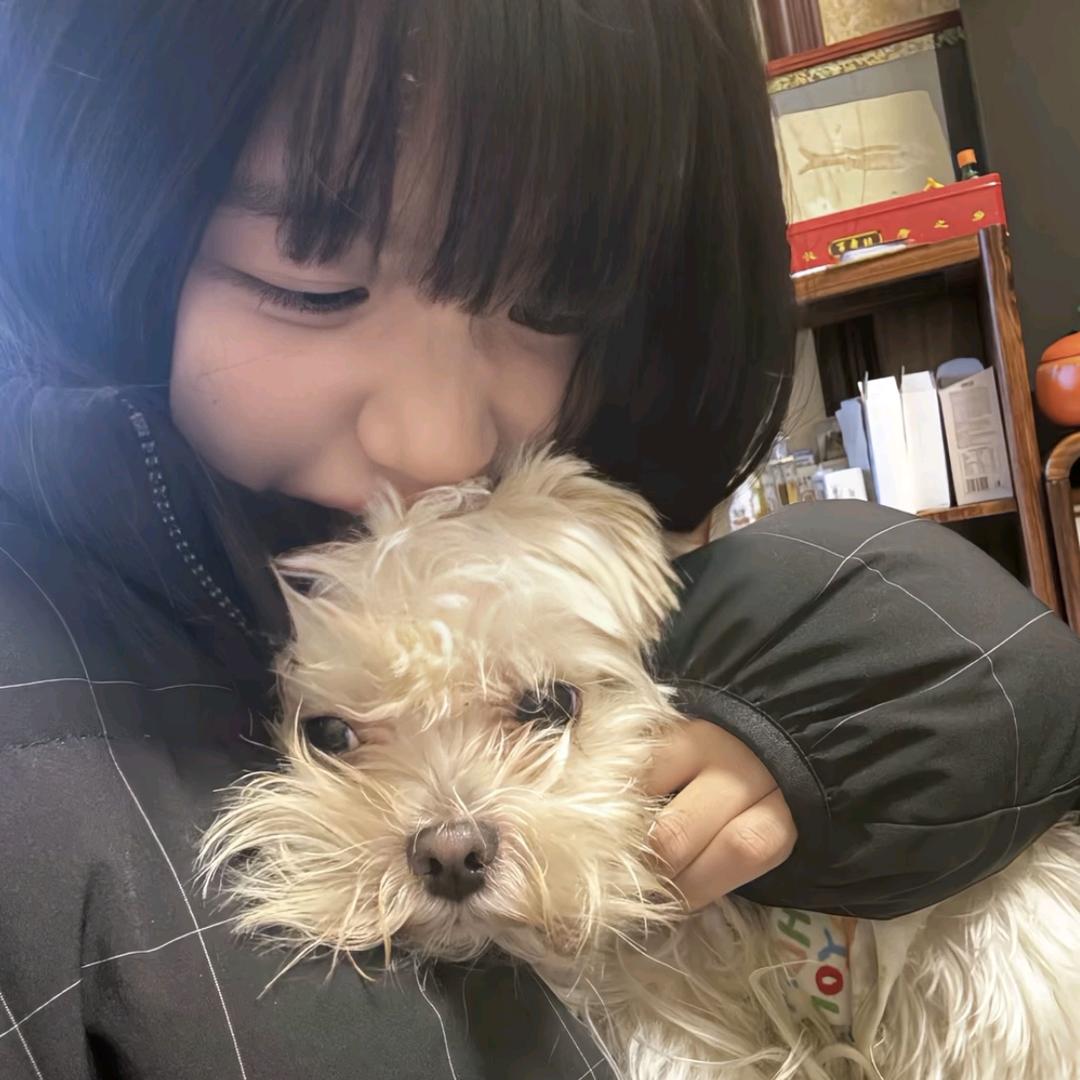 小猫吉他手ˇ