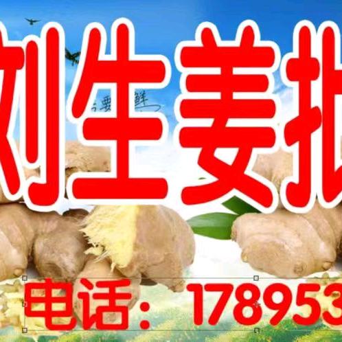 姜香源梁氏蔬菜严选店