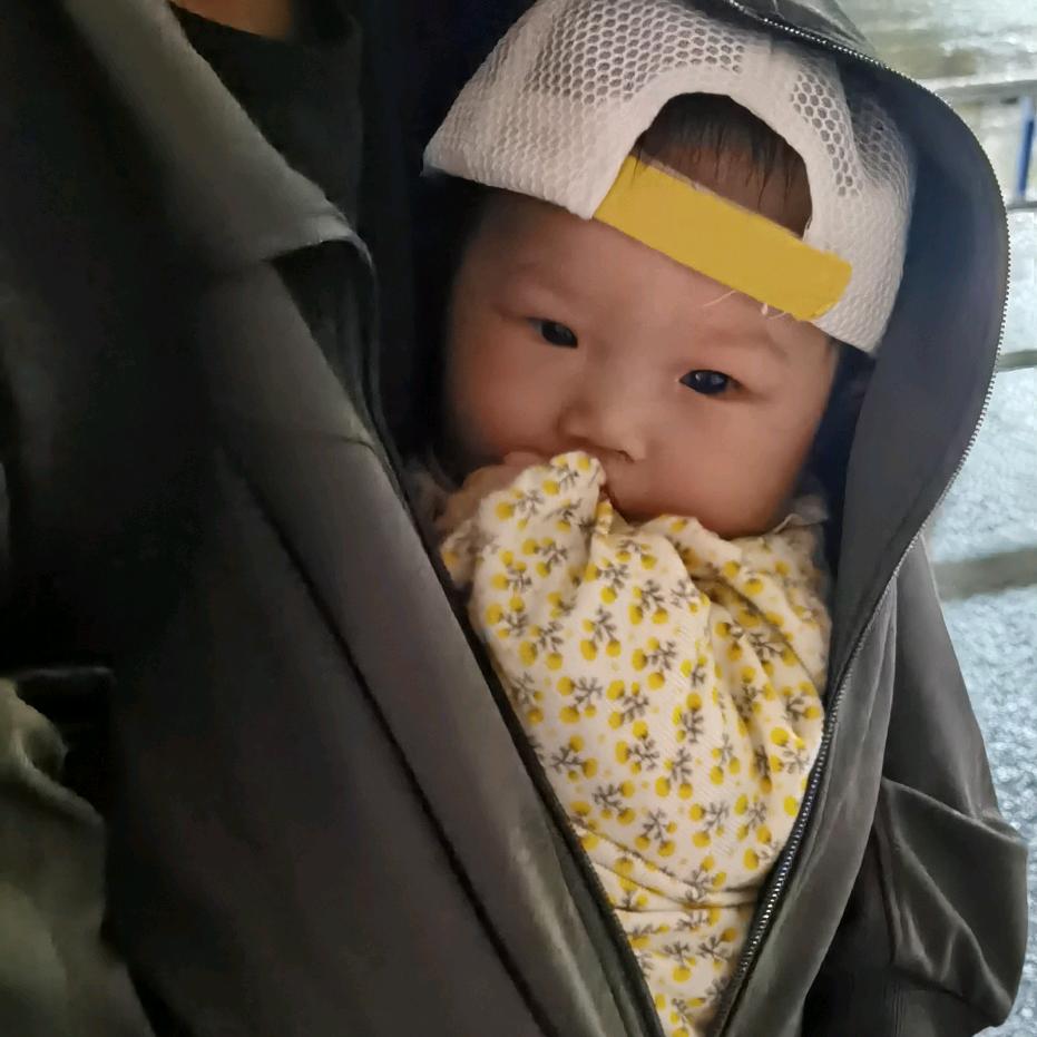 不哭不闹，黎小泡