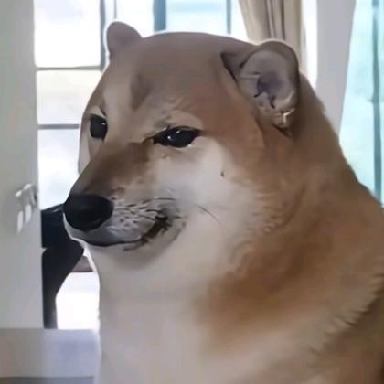 天坤