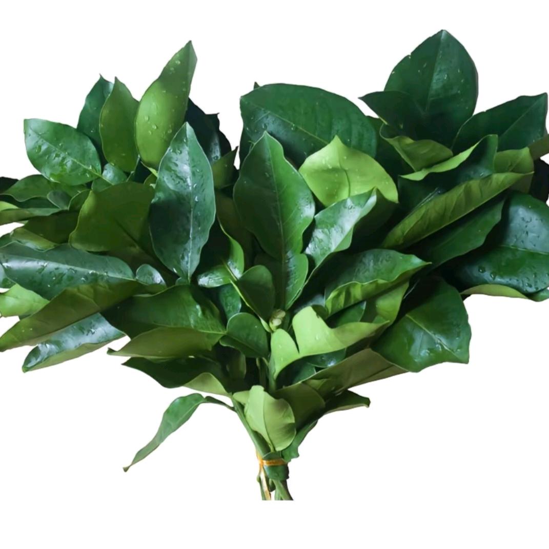 打王者被男同骂以为我勾引他对象