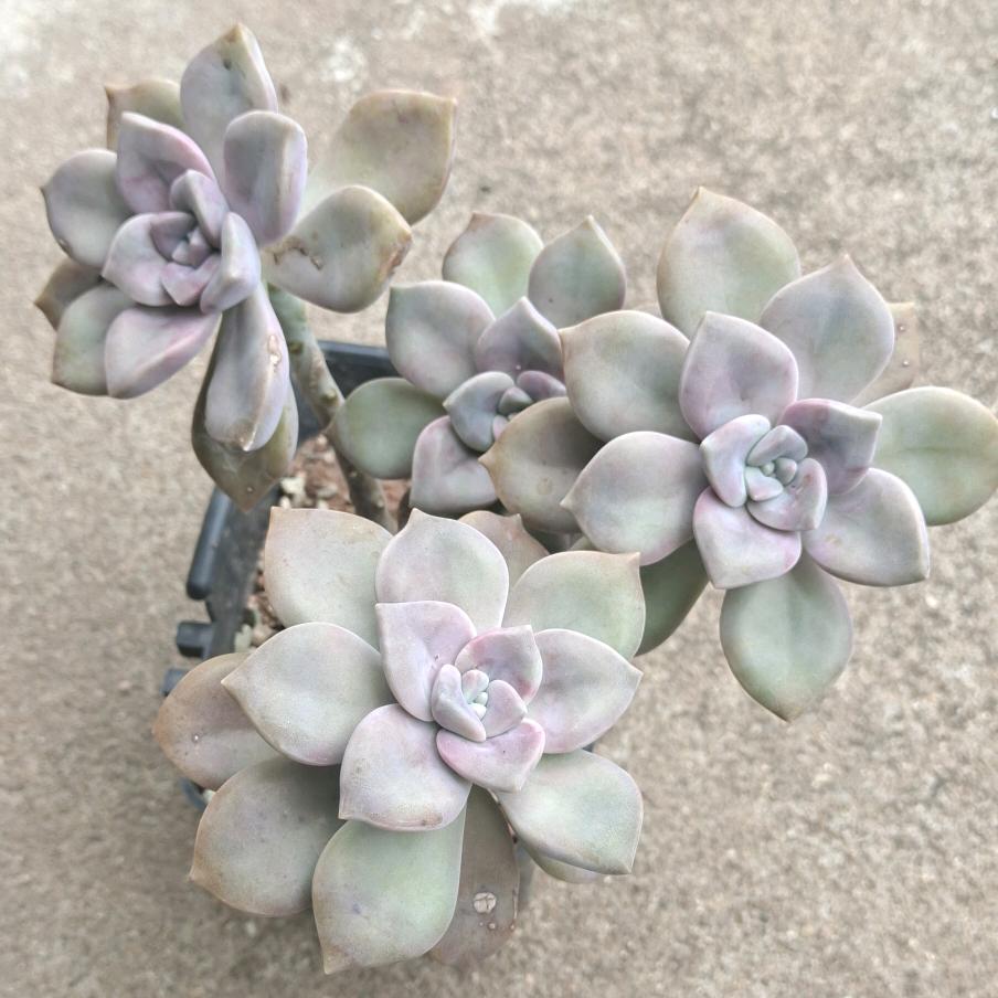 📯💖凡⁸³⁰