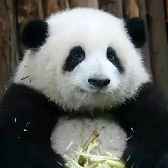 发电的胖达汉