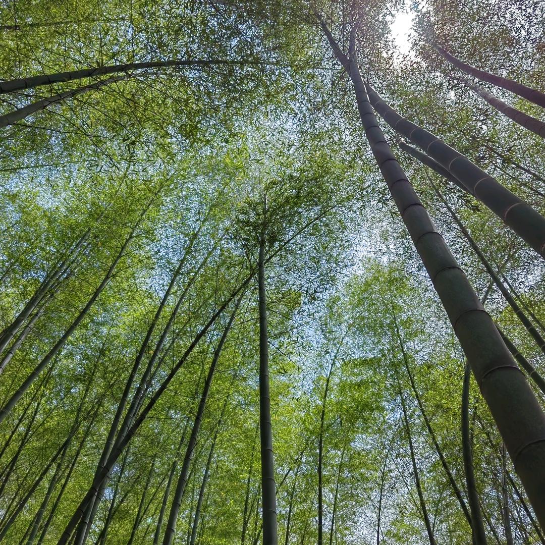 啊超