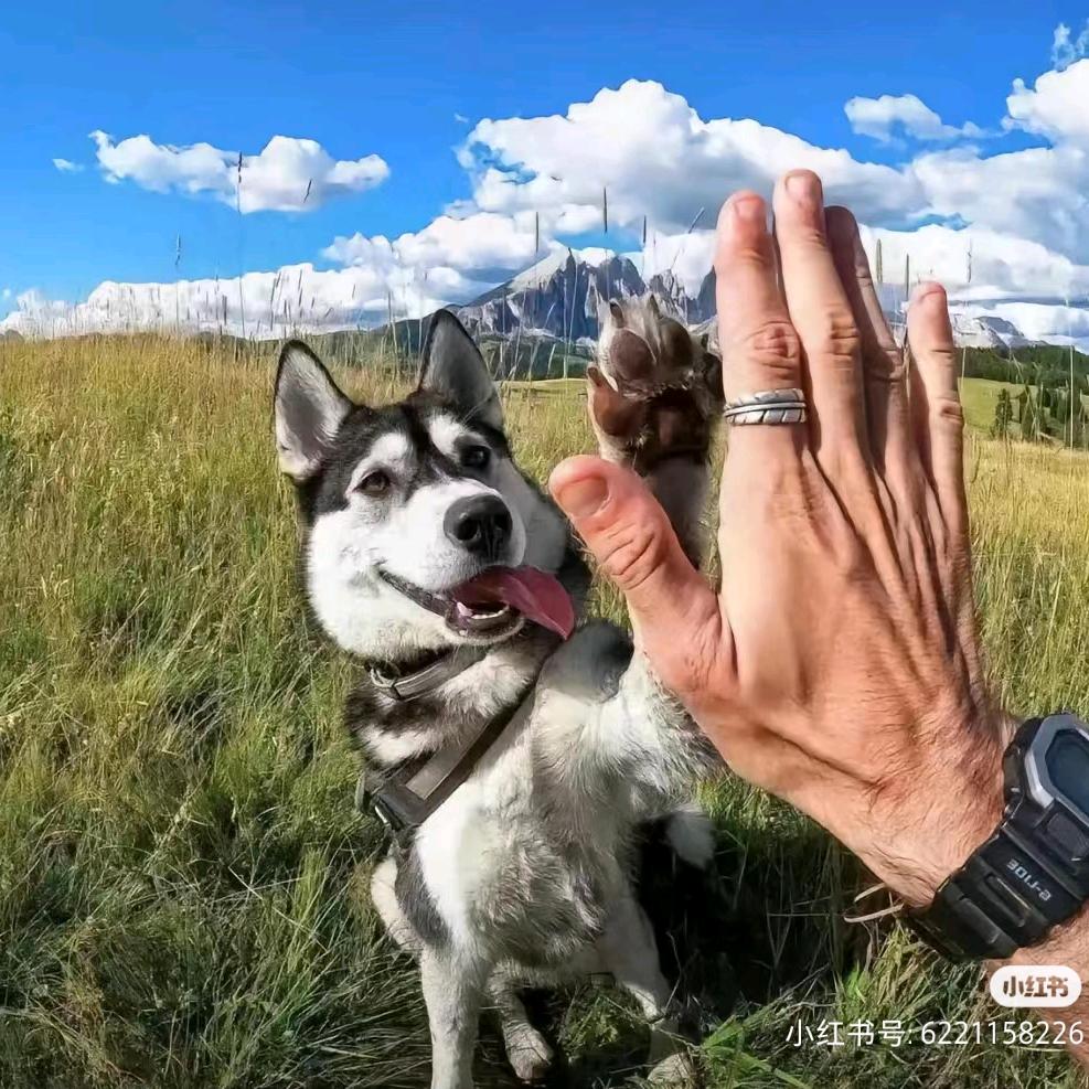 搞事情😇😇😇