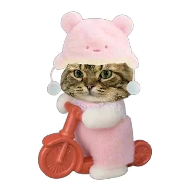 赵强
